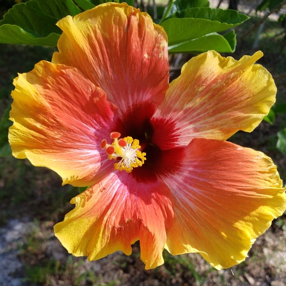 Meet your Posher, Darlee C.  Poshmark Ambassador - Picture 8 of 16